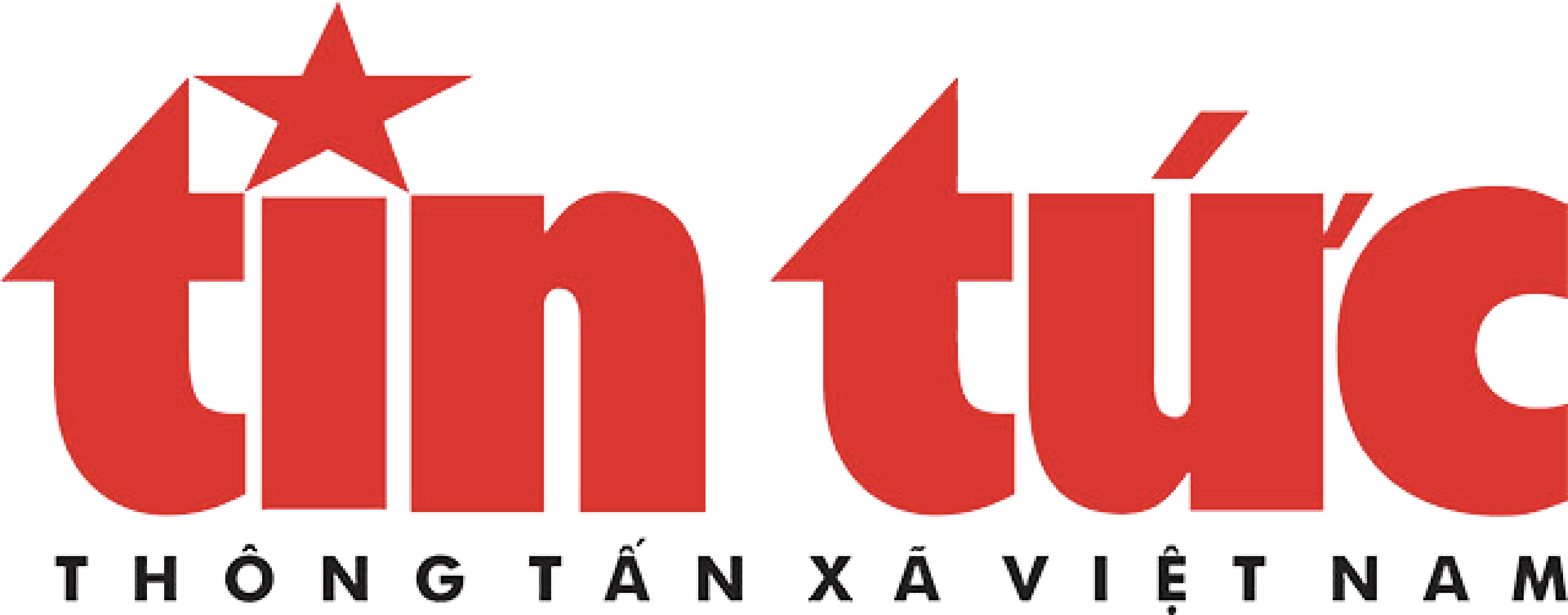 Media 13