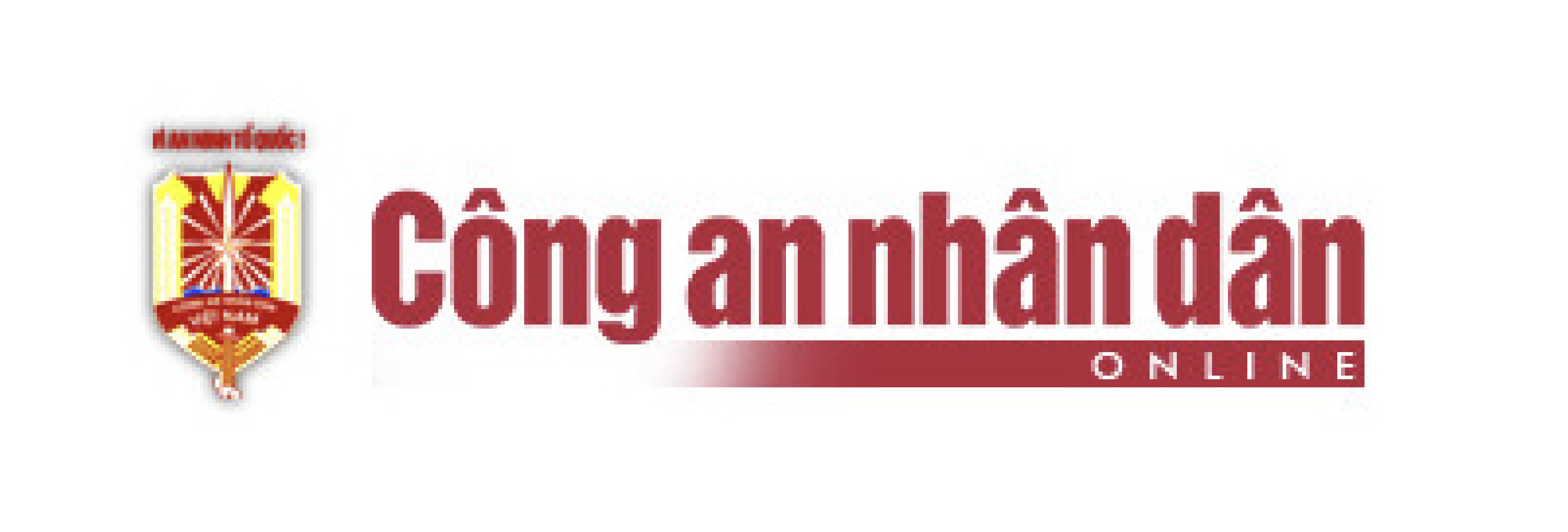 Media 6